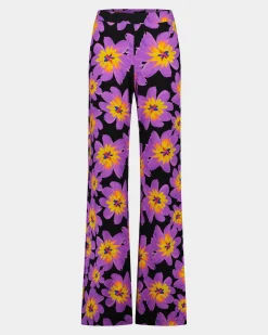 Shop STIEGLITZ Josh Palazzo | Purple