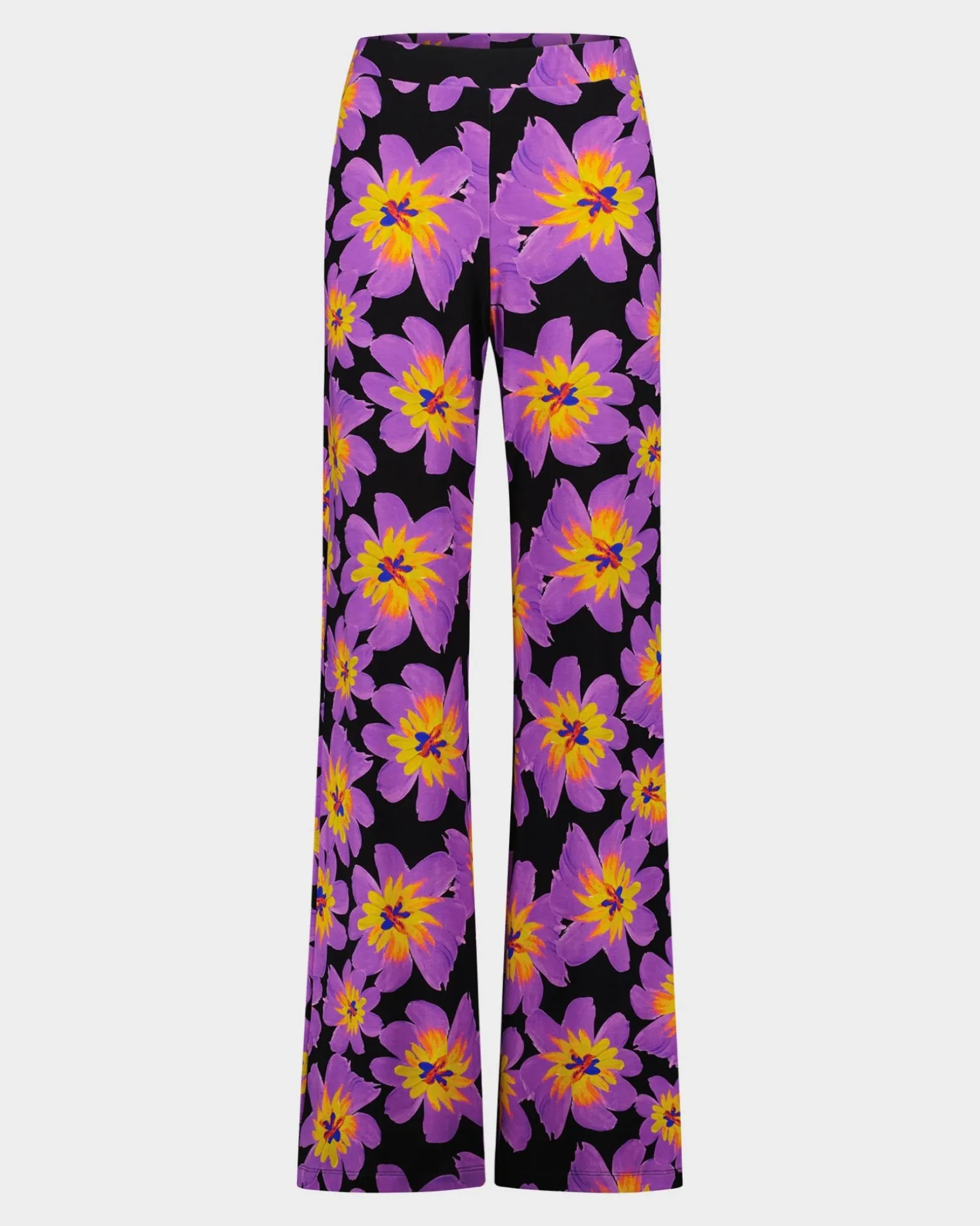 Shop STIEGLITZ Josh Palazzo | Purple