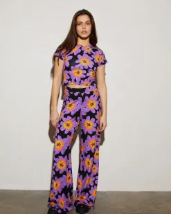 Shop STIEGLITZ Josh Palazzo | Purple