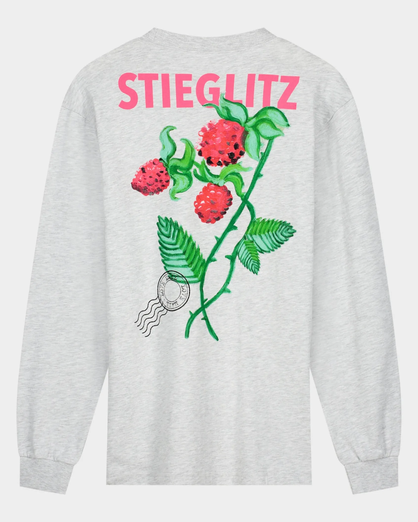 Flash Sale STIEGLITZ Tereza Skate Longsleeve | Melange Grey
